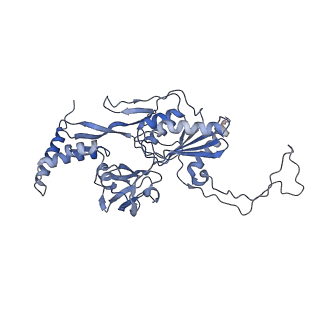 40852_8sxh_J_v1-1
Structure of the C-terminal protease CtpA-LbcA complex of Pseudomonas aeruginosa
