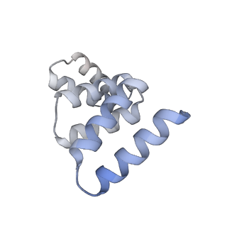 40852_8sxh_K_v1-1
Structure of the C-terminal protease CtpA-LbcA complex of Pseudomonas aeruginosa