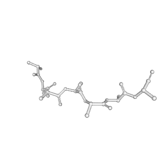 40852_8sxh_L_v1-1
Structure of the C-terminal protease CtpA-LbcA complex of Pseudomonas aeruginosa