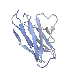 40854_8sxj_D_v1-0
CH505 Disulfide Stapled SOSIP Bound to CH235.12 Fab