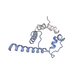 40854_8sxj_F_v1-0
CH505 Disulfide Stapled SOSIP Bound to CH235.12 Fab