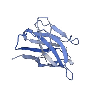 40854_8sxj_G_v1-0
CH505 Disulfide Stapled SOSIP Bound to CH235.12 Fab