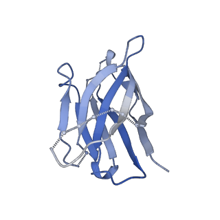 40854_8sxj_K_v1-0
CH505 Disulfide Stapled SOSIP Bound to CH235.12 Fab