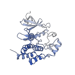 40855_8sxn_A_v1-0
Structure of NLRP3 and NEK7 complex