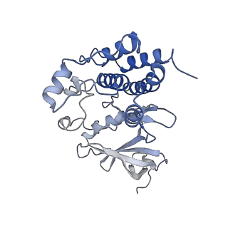 40855_8sxn_B_v1-0
Structure of NLRP3 and NEK7 complex