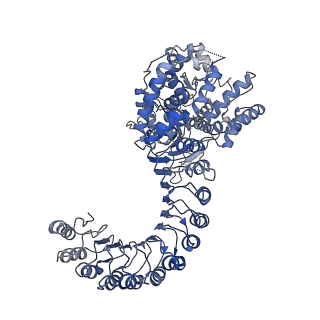 40855_8sxn_D_v1-0
Structure of NLRP3 and NEK7 complex