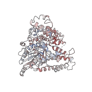 40859_8sxu_A_v1-1
Structure of LINE-1 ORF2p with an oligo(A) template