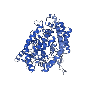 25512_7sy0_E_v1-1
Cryo-EM structure of the SARS-CoV-2 D614G,L452R mutant spike protein ectodomain bound to human ACE2 ectodomain (focused refinement of RBD and ACE2)