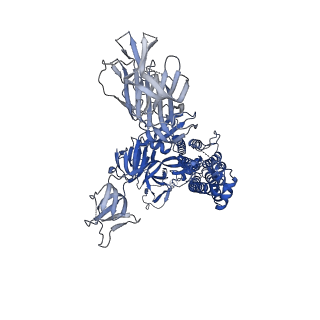 25513_7sy1_A_v1-1
Cryo-EM structure of the SARS-CoV-2 D614G,N501Y mutant spike protein ectodomain bound to human ACE2 ectodomain (global refinement)