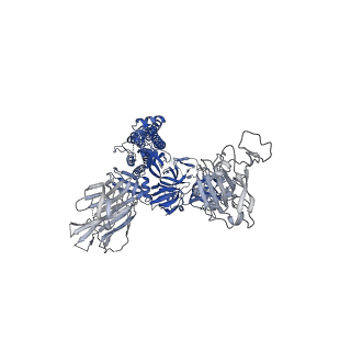 25513_7sy1_B_v1-1
Cryo-EM structure of the SARS-CoV-2 D614G,N501Y mutant spike protein ectodomain bound to human ACE2 ectodomain (global refinement)