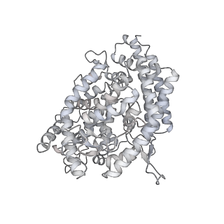 25513_7sy1_E_v1-1
Cryo-EM structure of the SARS-CoV-2 D614G,N501Y mutant spike protein ectodomain bound to human ACE2 ectodomain (global refinement)