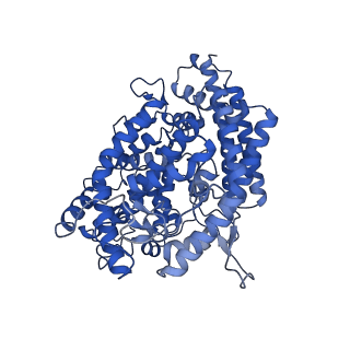 25514_7sy2_E_v1-1
Cryo-EM structure of the SARS-CoV-2 D614G,N501Y mutant spike protein ectodomain bound to human ACE2 ectodomain (focused refinement of RBD and ACE2)