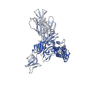 25515_7sy3_A_v1-1
Cryo-EM structure of the SARS-CoV-2 D614G,N501Y,E484K mutant spike protein ectodomain bound to human ACE2 ectodomain (global refinement)