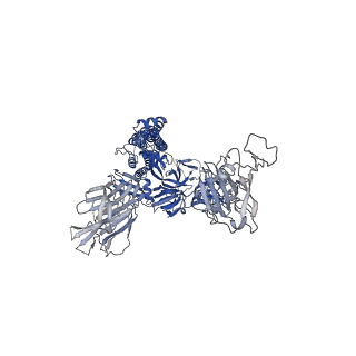25515_7sy3_B_v1-1
Cryo-EM structure of the SARS-CoV-2 D614G,N501Y,E484K mutant spike protein ectodomain bound to human ACE2 ectodomain (global refinement)