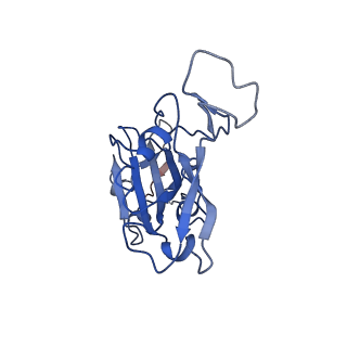 25516_7sy4_B_v1-1
Cryo-EM structure of the SARS-CoV-2 D614G,N501Y,E484K mutant spike protein ectodomain bound to human ACE2 ectodomain (focused refinement of RBD and ACE2)