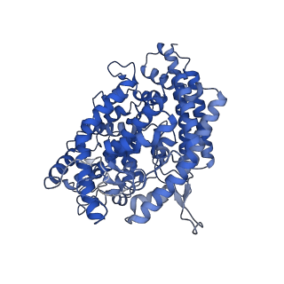 25516_7sy4_E_v1-1
Cryo-EM structure of the SARS-CoV-2 D614G,N501Y,E484K mutant spike protein ectodomain bound to human ACE2 ectodomain (focused refinement of RBD and ACE2)
