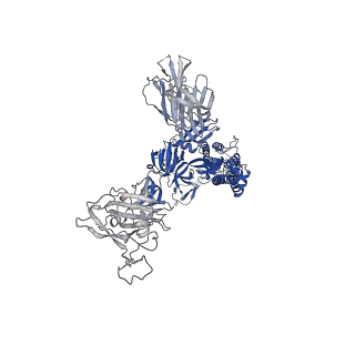 25517_7sy5_A_v1-1
Cryo-EM structure of the SARS-CoV-2 D614G,N501Y,E484K,K417N mutant spike protein ectodomain bound to human ACE2 ectodomain (global refinement)