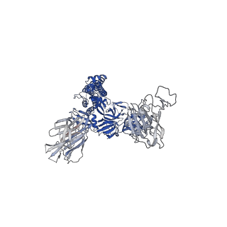 25517_7sy5_B_v1-1
Cryo-EM structure of the SARS-CoV-2 D614G,N501Y,E484K,K417N mutant spike protein ectodomain bound to human ACE2 ectodomain (global refinement)