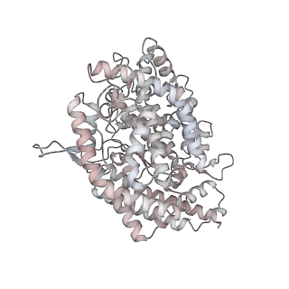 25517_7sy5_D_v1-1
Cryo-EM structure of the SARS-CoV-2 D614G,N501Y,E484K,K417N mutant spike protein ectodomain bound to human ACE2 ectodomain (global refinement)