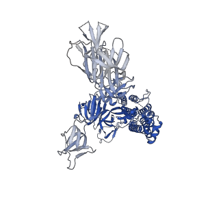 25519_7sy7_A_v1-0
Cryo-EM structure of the SARS-CoV-2 D614G,N501Y,E484K,K417T mutant spike protein ectodomain bound to human ACE2 ectodomain (global refinement)