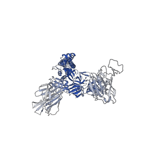 25519_7sy7_B_v1-0
Cryo-EM structure of the SARS-CoV-2 D614G,N501Y,E484K,K417T mutant spike protein ectodomain bound to human ACE2 ectodomain (global refinement)