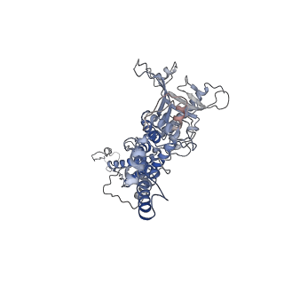 25521_7sya_d_v1-1
Kinetically trapped Pseudomonas-phage PaP3 portal protein - Full Length