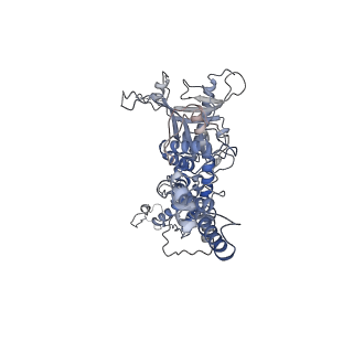 25521_7sya_e_v1-0
Kinetically trapped Pseudomonas-phage PaP3 portal protein - Full Length