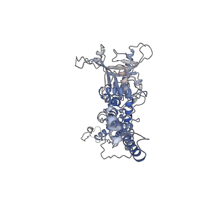 25521_7sya_e_v1-1
Kinetically trapped Pseudomonas-phage PaP3 portal protein - Full Length