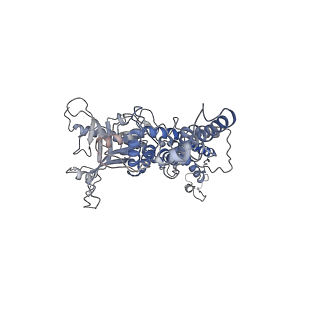25521_7sya_g_v1-0
Kinetically trapped Pseudomonas-phage PaP3 portal protein - Full Length