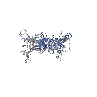 25521_7sya_g_v1-1
Kinetically trapped Pseudomonas-phage PaP3 portal protein - Full Length