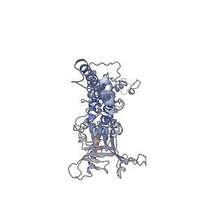 25521_7sya_j_v1-0
Kinetically trapped Pseudomonas-phage PaP3 portal protein - Full Length
