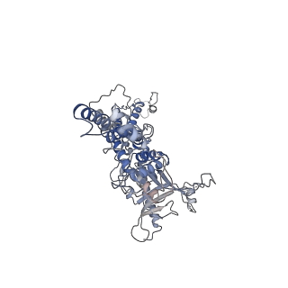 25521_7sya_k_v1-0
Kinetically trapped Pseudomonas-phage PaP3 portal protein - Full Length