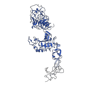 25522_7syd_A_v1-0
Cryo-EM structure of the extracellular module of the full-length EGFR bound to EGF "tips-juxtaposed" conformation