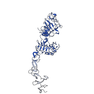 25522_7syd_B_v1-0
Cryo-EM structure of the extracellular module of the full-length EGFR bound to EGF "tips-juxtaposed" conformation