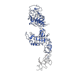 25523_7sye_A_v1-0
Cryo-EM structure of the extracellular module of the full-length EGFR bound to EGF. "tips-separated" conformation