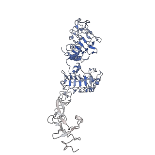 25523_7sye_B_v1-0
Cryo-EM structure of the extracellular module of the full-length EGFR bound to EGF. "tips-separated" conformation