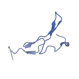 25523_7sye_D_v1-0
Cryo-EM structure of the extracellular module of the full-length EGFR bound to EGF. "tips-separated" conformation