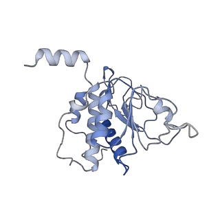 25527_7syg_B_v1-0
Structure of the HCV IRES binding to the 40S ribosomal subunit, closed conformation. Structure 1(delta dII)