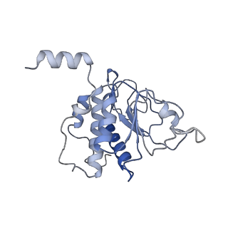 25527_7syg_B_v1-1
Structure of the HCV IRES binding to the 40S ribosomal subunit, closed conformation. Structure 1(delta dII)