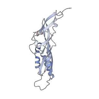 25527_7syg_C_v1-0
Structure of the HCV IRES binding to the 40S ribosomal subunit, closed conformation. Structure 1(delta dII)