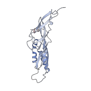 25527_7syg_C_v1-1
Structure of the HCV IRES binding to the 40S ribosomal subunit, closed conformation. Structure 1(delta dII)