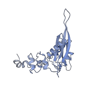 25527_7syg_D_v1-0
Structure of the HCV IRES binding to the 40S ribosomal subunit, closed conformation. Structure 1(delta dII)