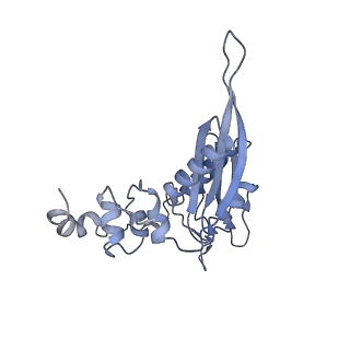 25527_7syg_D_v1-1
Structure of the HCV IRES binding to the 40S ribosomal subunit, closed conformation. Structure 1(delta dII)