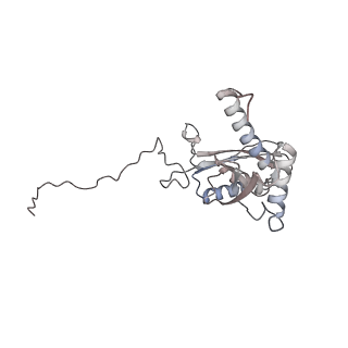 25527_7syg_E_v1-0
Structure of the HCV IRES binding to the 40S ribosomal subunit, closed conformation. Structure 1(delta dII)