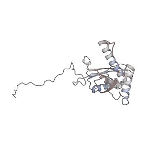 25527_7syg_E_v1-1
Structure of the HCV IRES binding to the 40S ribosomal subunit, closed conformation. Structure 1(delta dII)