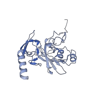 25527_7syg_F_v1-0
Structure of the HCV IRES binding to the 40S ribosomal subunit, closed conformation. Structure 1(delta dII)