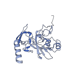 25527_7syg_F_v1-1
Structure of the HCV IRES binding to the 40S ribosomal subunit, closed conformation. Structure 1(delta dII)