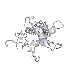 25527_7syg_G_v1-0
Structure of the HCV IRES binding to the 40S ribosomal subunit, closed conformation. Structure 1(delta dII)