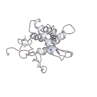 25527_7syg_G_v1-1
Structure of the HCV IRES binding to the 40S ribosomal subunit, closed conformation. Structure 1(delta dII)