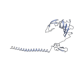 25527_7syg_H_v1-1
Structure of the HCV IRES binding to the 40S ribosomal subunit, closed conformation. Structure 1(delta dII)